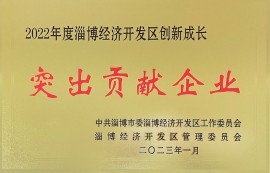 經(jīng)開區(qū)突出貢獻企業(yè)